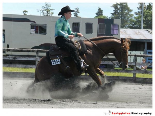 Reining shines at Manfeild.jpg